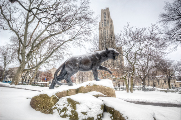 Pitt Panther statue in the snow HDR