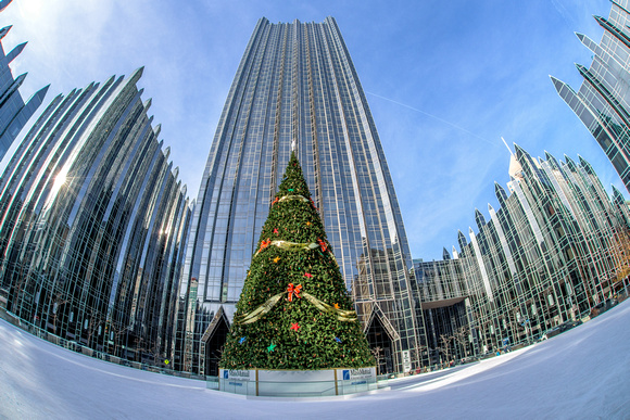 Fisheye view of the Christmas tree at PPG Place