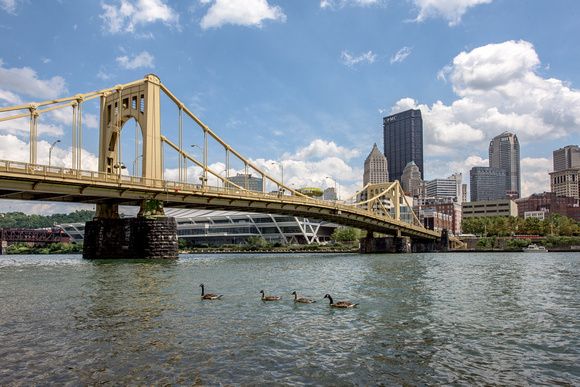 Picklesburgh in Pittsburgh - 2016 - 006
