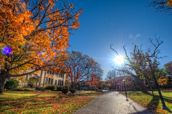 Sunflare over walkway at Allegheny Colege HDR