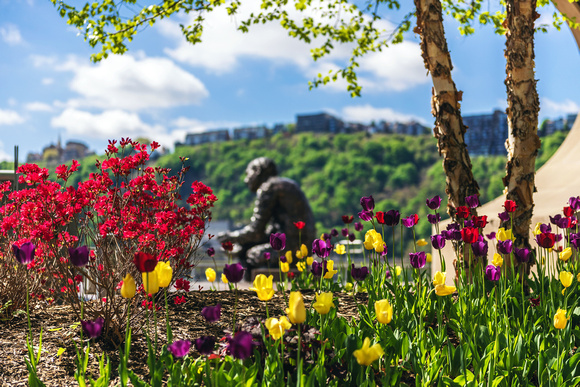 Flowers frame the Mr. Rogers Statue on the North Shore of Pittsburgh