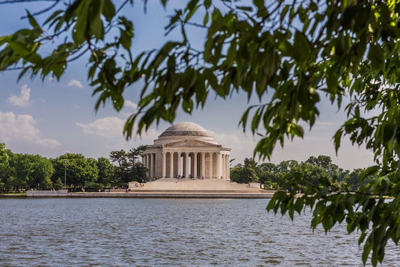 Trees frame the Jefferson Memorial at dusk in Washington DC