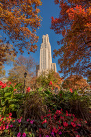 Beautiful fall colors surround the Cathedral of Learning