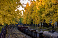 A train passses under ginkgo trees on the North Side of Pittsburgh