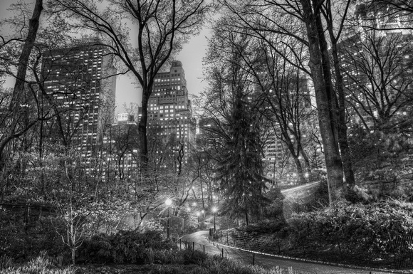 Path through Central Park at night B&W HDR