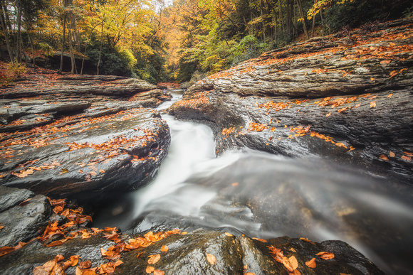 Leaves scattered around the natural rock slides at Ohiopyle State Park