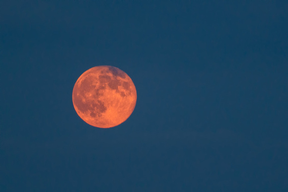 A bright red Pittsburgh Supermoon
