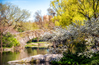 A spring scene in Central Park New York City
