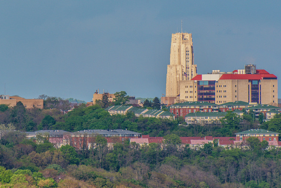 Cathedral of Learning rising over a hill