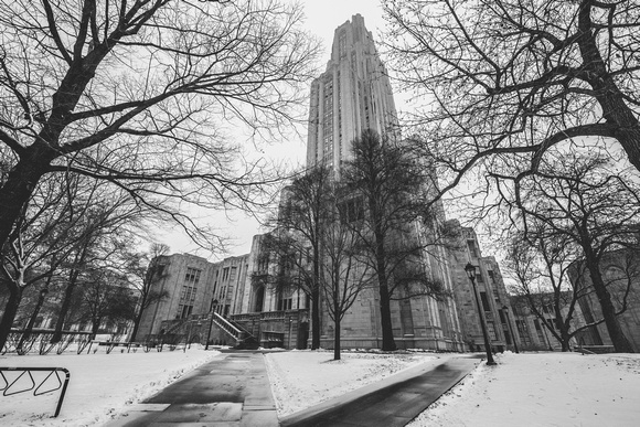 The Cathedral of Learning rises through the trees and the snow