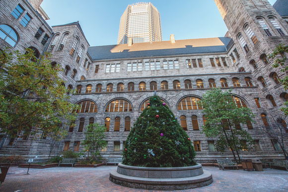 The Christmas tree at the courthouse in Pittsburgh