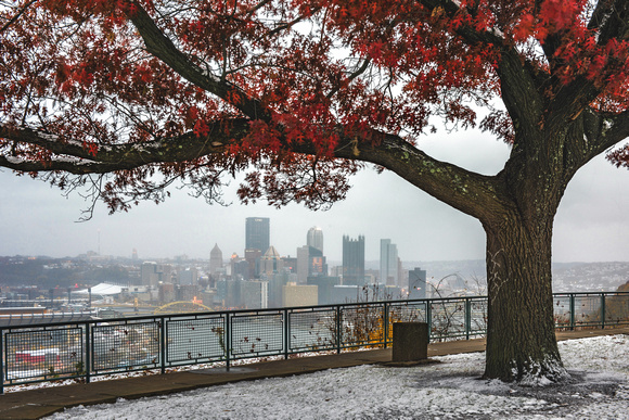 A tree with beautiful fall colors frames Pittsburgh in the snow