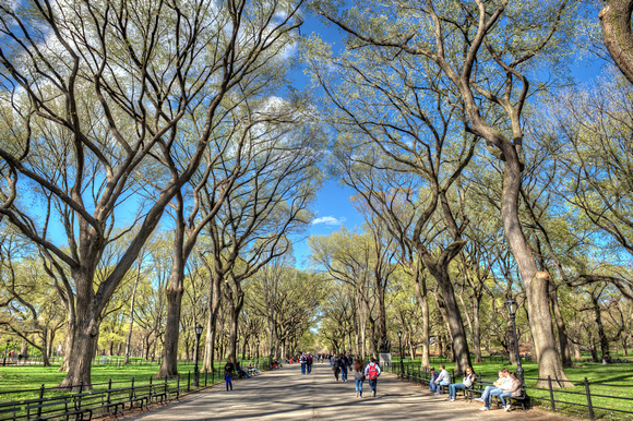 The Mall in Central Park on a sunny morning HDR