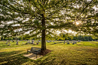 Sunflare through the trees at Evans City Cemetery HDR