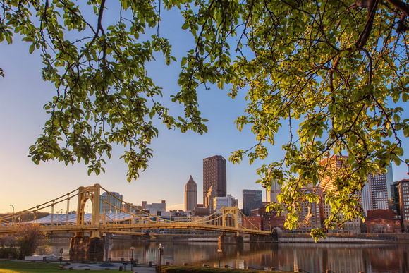 Trees frame the Pittsburgh skyline on the North Shore at dawn