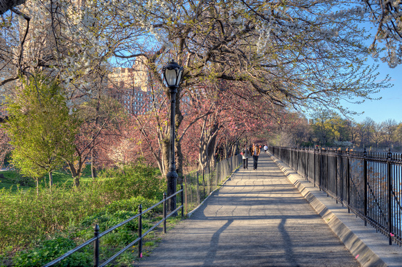 Path by the Jacqueline Kennedy Onassis Reservoir HDR