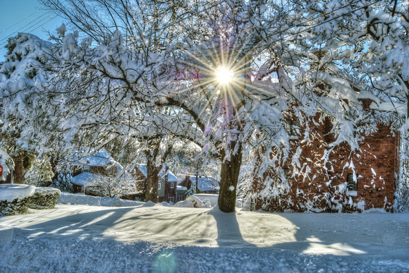 Sunflare through a tree in the snow HDR
