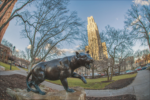 Fisheye view of the Cathedral of Learning and the panther statue