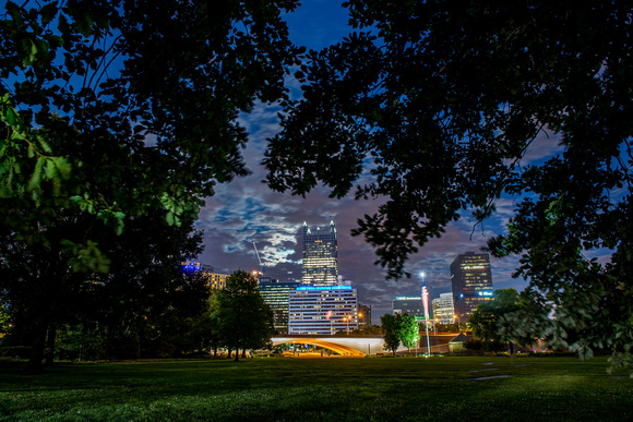 The supermoon and Pittsburgh skyline through the trees of Point State Park