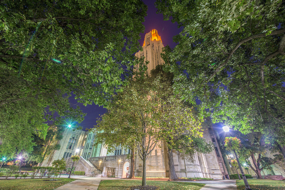 The Cathedral of Learning rises through the trees with Victory Lights ablaze