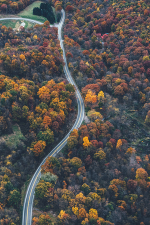 Winding road through the trees of Pittsburgh