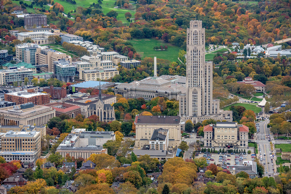 Pitt and CMU are surrounded by beautiful fall foliage in Pittsburgh