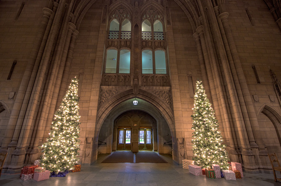 Christmas trees inside the Cathedral of Learning