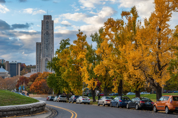 Fall colors line the street on the way to the Cathedral of Learning