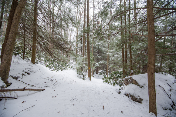 Pick your snow covered path at Ohiopyle State Park