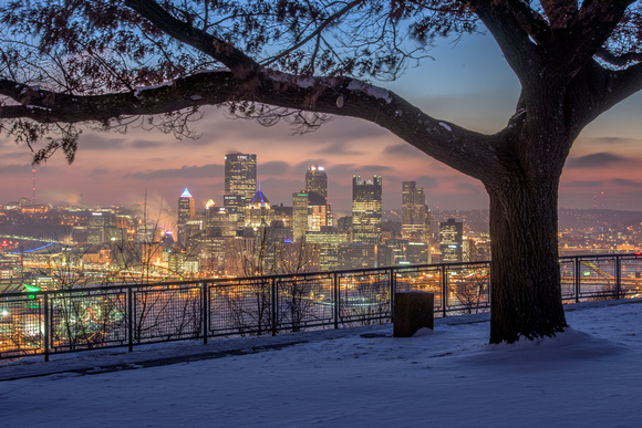 A tree frames the Pittsburgh skyline on a cold and snowy morning