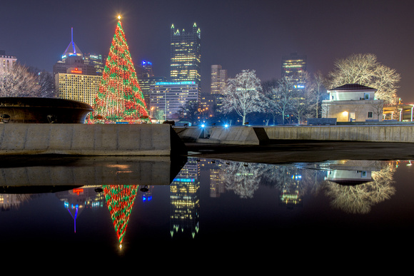 Pittsburgh the and the tree at the Point reflect in the still water
