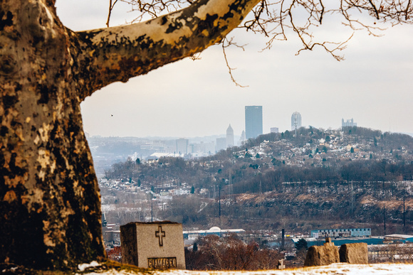A tree frames the Pittsburgh skyline from McKees Rocks
