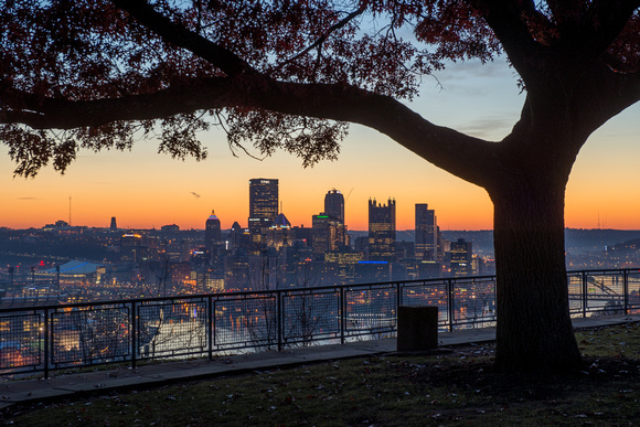 A tree frames the Pittsburgh skyline at dawn from the West End Overlook