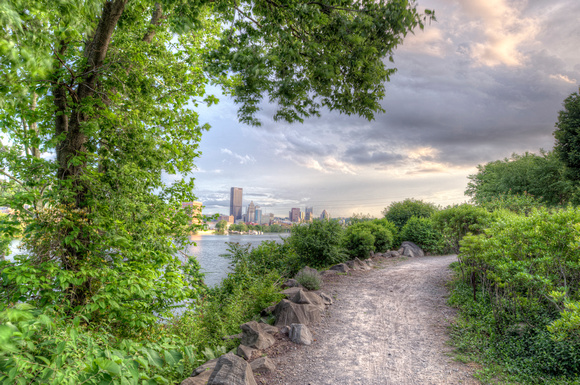 Trees frame the Pittsburgh skyline from Herr's Island