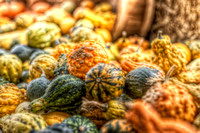 Gourds at the farmer's market