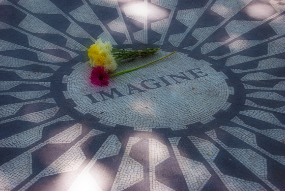 Flowers on the Imagine tribute in Central Park