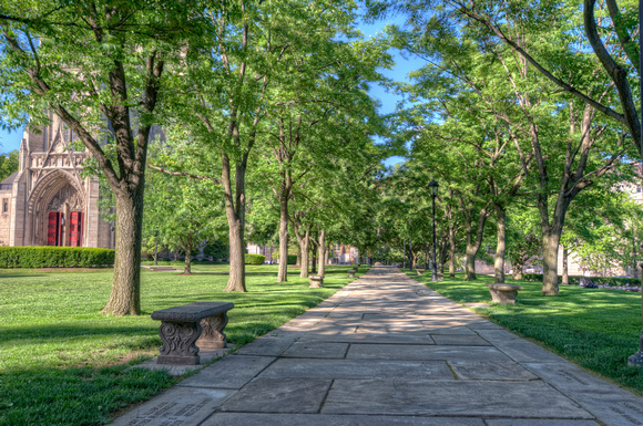 Walkway towards Heinz Chapel on the campus of the University of Pittsburgh