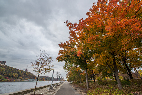 A fall walkway in Pittsburgh