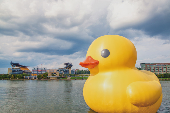 The Giant Rubber Duck in Pittsburgh sits in front of Heinz Field HDR
