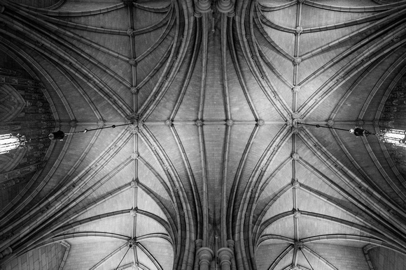 The roof of the inside of the Cathedral of Learning