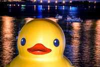 A close up of the Giant Rubber Duck on the Allegheny River in Pittsburgh HDR