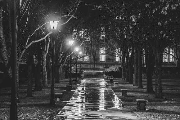 A rainy walkway on Pitt's campus