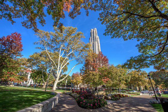 The Cathedral of Learning in the fall