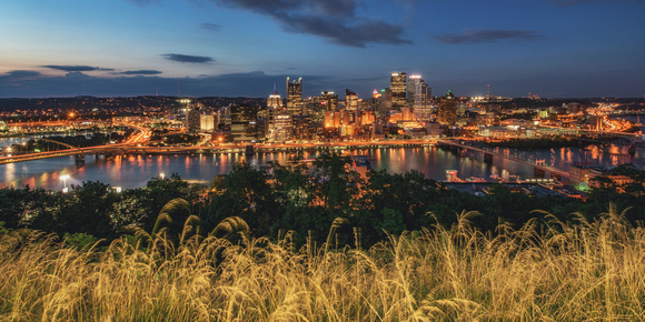 Grass sways at dusk in PIttsburgh on Mt. Washington