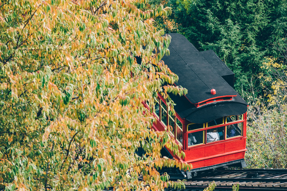 The Duquesne Incline through the trees in the fal