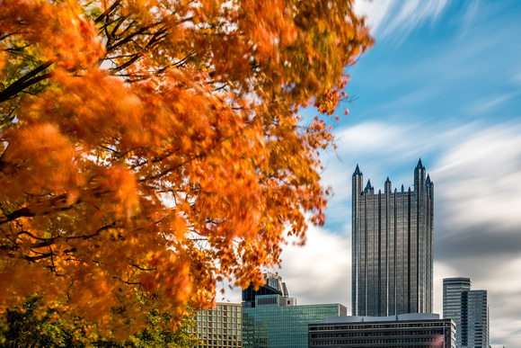 Long exposure of trees rustling by PPG Place in the fall in PIttsburgh