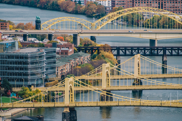 The bridges of the Allegheny in the fall