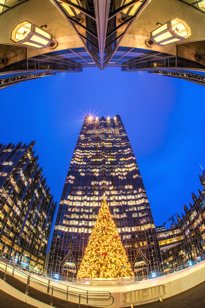 A fisheye view of the Christmas tree at PPG Place