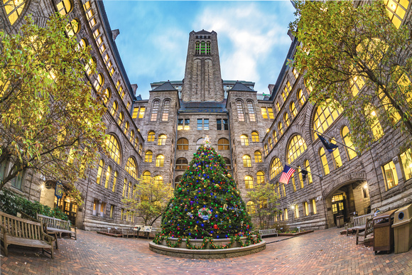 Fisheye view of the Christmas tree at the courthouse in Pittsburgh