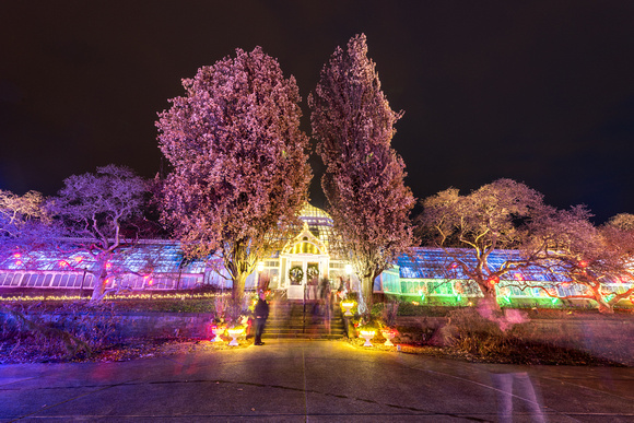 Phipps Conservatory in Pittsburgh - Winter 2016 Light Show and Train Display - 019